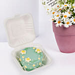 White Daisy Birthday Arrangement With Mono Cake