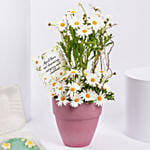 White Daisy Birthday Arrangement With Mono Cake