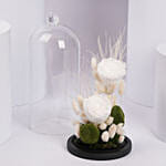 ورد ابيض دائم