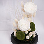 ورد ابيض دائم