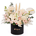 White N Pink Harmony Noir Box