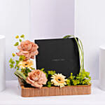 Cerruti 1881 Gold Plated Jewellery Gift Tray