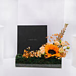 Cerruti 1881 Alessia Gold Plated Crystal Necklace And Earrings Set