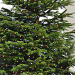 Twinkling Led Christmas Tree 4 To 5 Ft