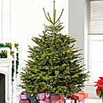 Twinkling Led Christmas Tree 5 To 6 Ft