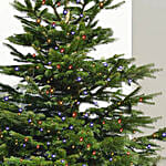 Twinkling Led Christmas Tree 6 To 7 Ft