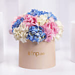 Pastel Hydrangea Mix Flower Box