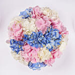 Pastel Hydrangea Mix Flower Box