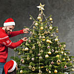 7 to 8 Fresh Christmas Tree With Golden Decoration