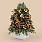 Classic Rustic Christmas Tabletop Tree