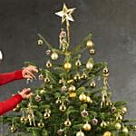 Golden Glow Christmas Tree 9 To 10 Feet