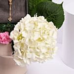 Cerruti 1881 Elettra Gold Plated Necklace