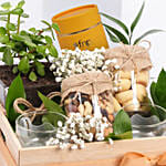 Tea and Plant Gift Hamper