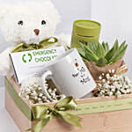 Bear Hugs Get Well Soon Hamper