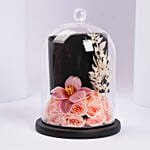 سوار فراشة مرصع بالكريستال من شيروتي 1881 للنساء