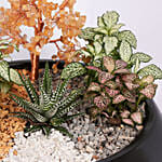 Golden Harmony Succulent Planter