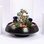 Serene Garden Succulent Planter