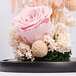 Preserved Pink Roses In Glass Dome For Mom