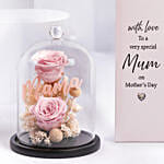 Mothers Day Forever Roses And Frame Combo