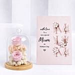 Mothers Day Forever Roses And Frame Combo
