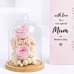 Mothers Day Forever Roses And Frame Combo