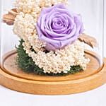 Preserved Purple Roses In Glass Dome