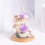 Moms Magical Rose Dome With Cake