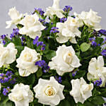 عبير الزهور | فازة ورد جوري