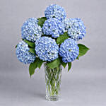 فازة هيدرانجيا زرقاء | 8 ورود