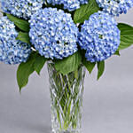فازة هيدرانجيا زرقاء | 8 ورود