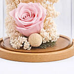 Preserved Pink Roses In Glass Dome For Mom
