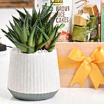 Proud of UAE Wellness Hamper