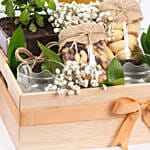 Green Moments Gift Hamper