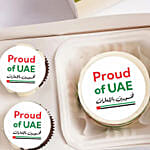 Proud of UAE Bento Cake Box