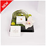 Caroline Svedbom 18k Gold plated Seascape Necklace for Her