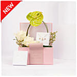 Caroline svedbom Classic Pearl Gift Set for Her