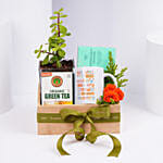 Green Tea Serenity Hamper