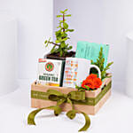 Green Tea Serenity Hamper