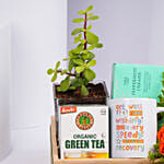 Green Tea Serenity Hamper