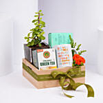 Green Tea Serenity Hamper