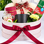 Teddy’s Well-Wishes Hamper