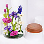 Dubai Chocolate Cake 8 Portion And Flowers