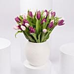 Mix Tulips in Premium Vase