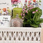 Garden Harmony Birthday Hamper