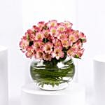 Purple Peruvian Lily Arrangement