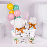 Welcome to the World Baby Box