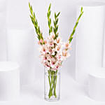 Pink Gladiolus In Premium Vase