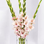 Pink Gladiolus In Premium Vase