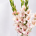 Pink Gladiolus with Chocolates
