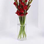 Red Gladiolus Beauty In A Vase